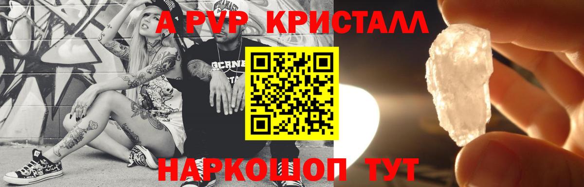 Альфа ПВП крисы CK Ростов-на-Дону
