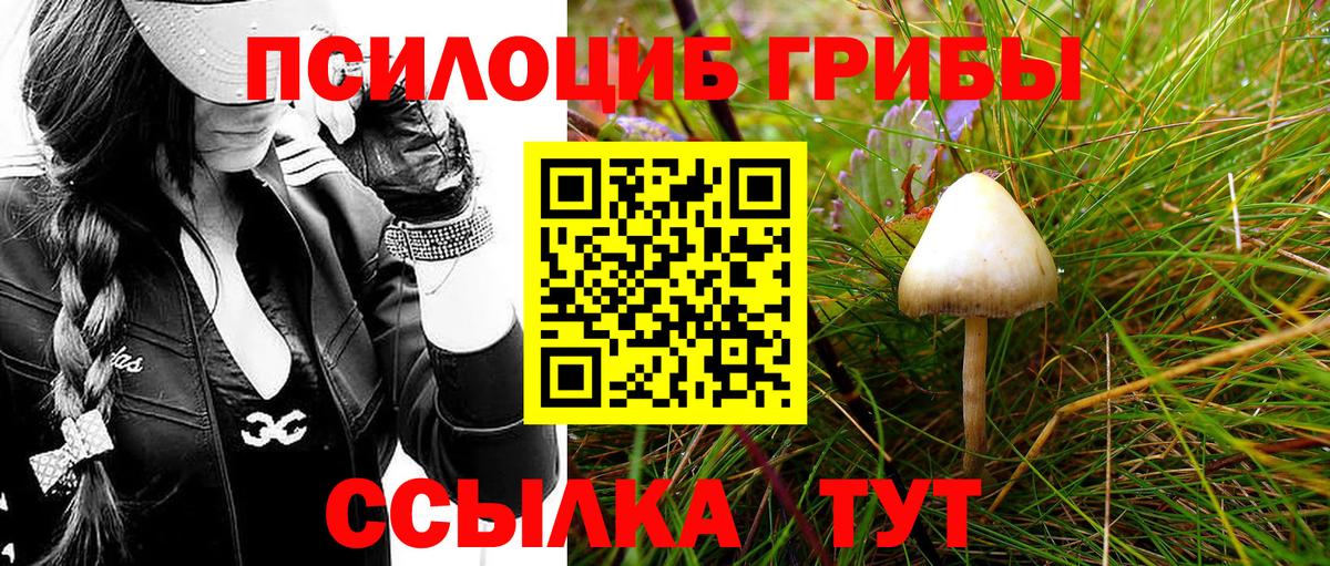 Галлюциногенные грибы Cubensis  Вход с VPN  Ростов-на-Дону 